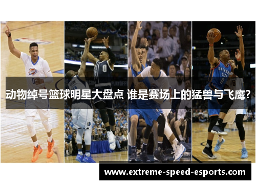 动物绰号篮球明星大盘点 谁是赛场上的猛兽与飞鹰？